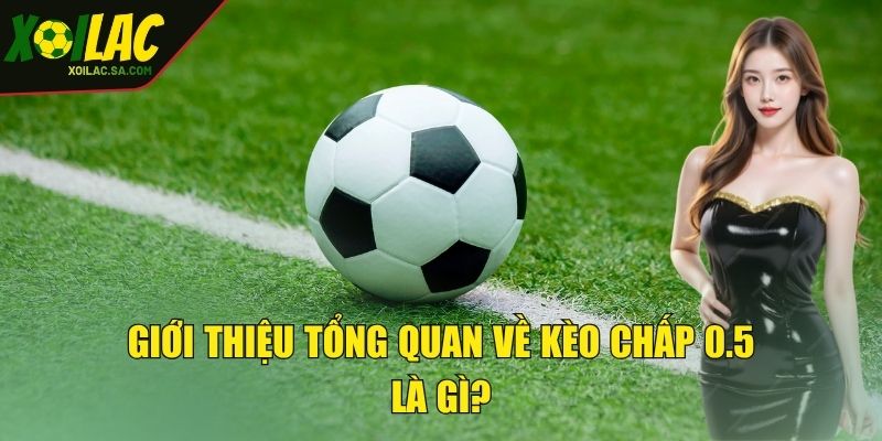Giới thiệu tổng quan về kèo chấp 0.5 là gì?